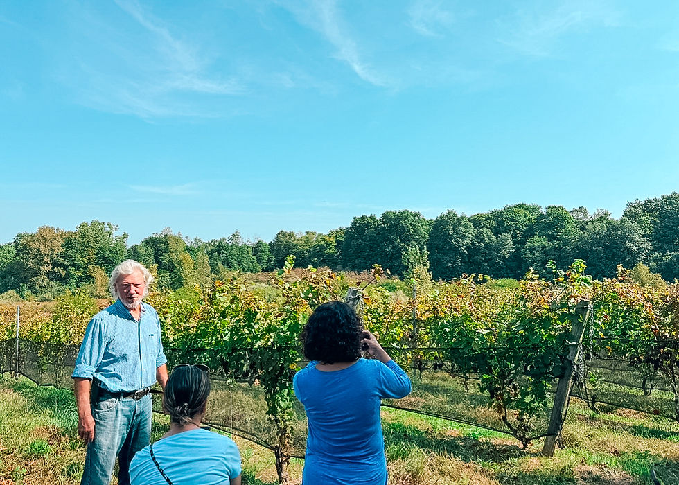 Our all-inclusive tours of 2-6 people love visiting Wyncroft Estate for a 2-hour immersive experience in the vineyard with owner, James.