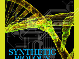 Is the Creation of Life from Non-Life Possible through Synthetic Biology?