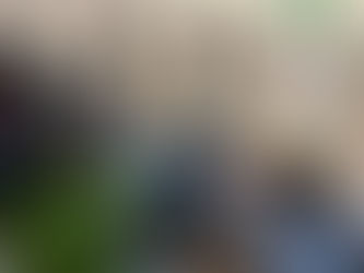 톡 콘서트 “실손보험인가, 실성보험인가?”