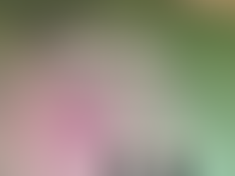 대한은퇴자협회 주명룡 대표 2024년 제5회 리워크컨퍼런스 올해의 리워크인상 수상