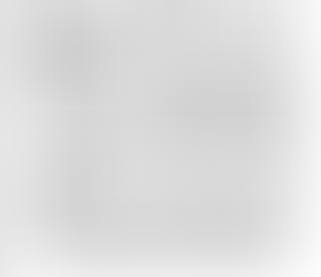 연간 기부금 모금액 및 활용실적 명세서