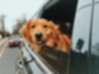 Oakley.jpeg