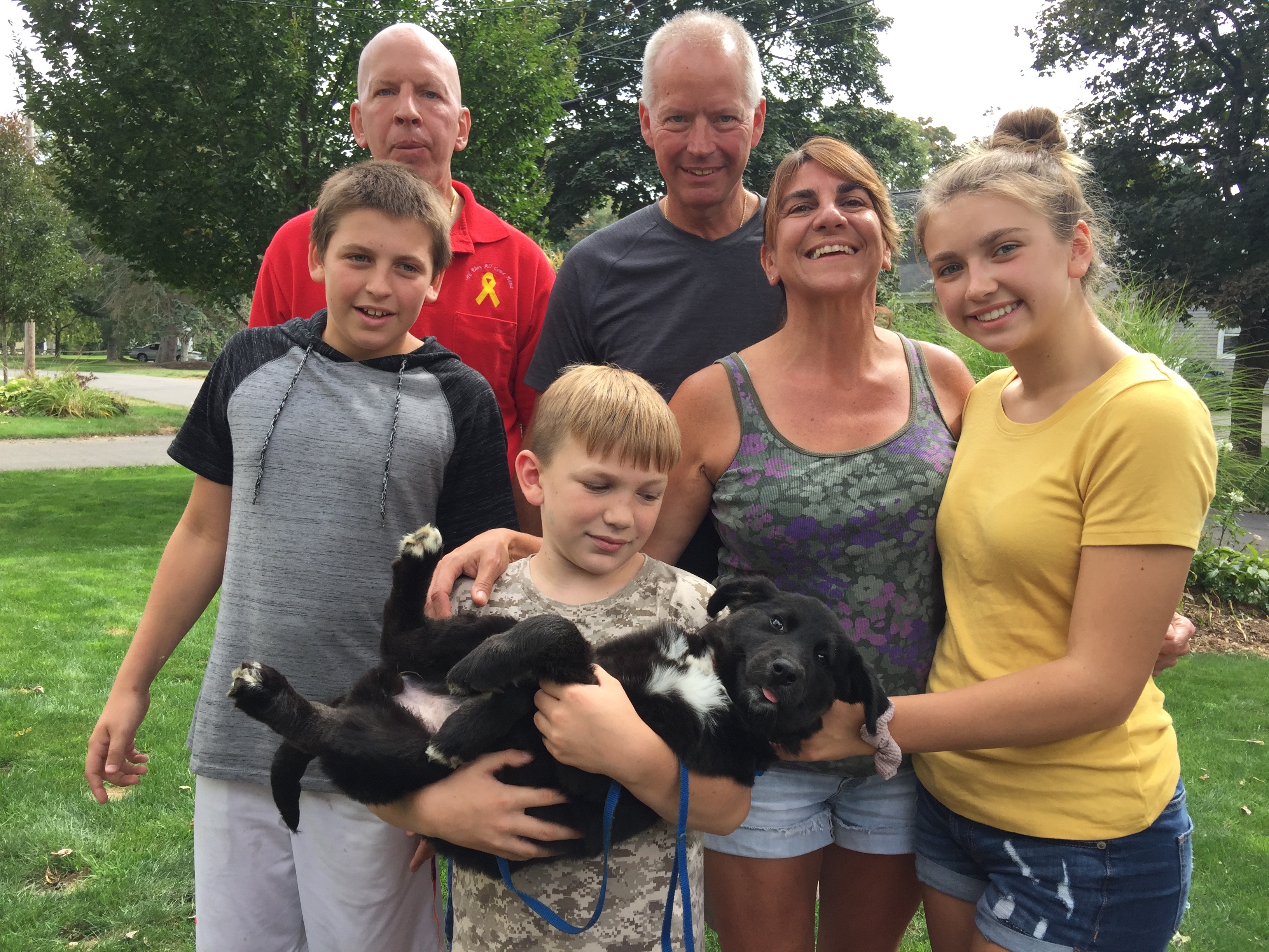 pink shelter petfinder