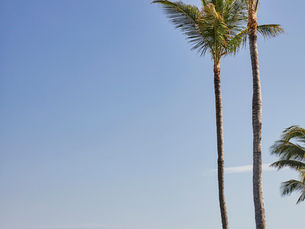 The Ocean Club, A Four Seasons Resort Bahamas: An Insider Review for Luxury Caribbean Travelers