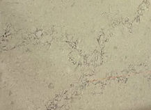 PENTAL MARESTAR 173 X 41.5.jpg