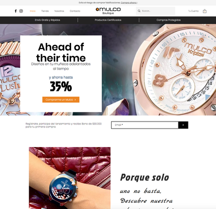 Mulco Boutique 2.png
