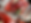 IMG_8642_edits2.png
