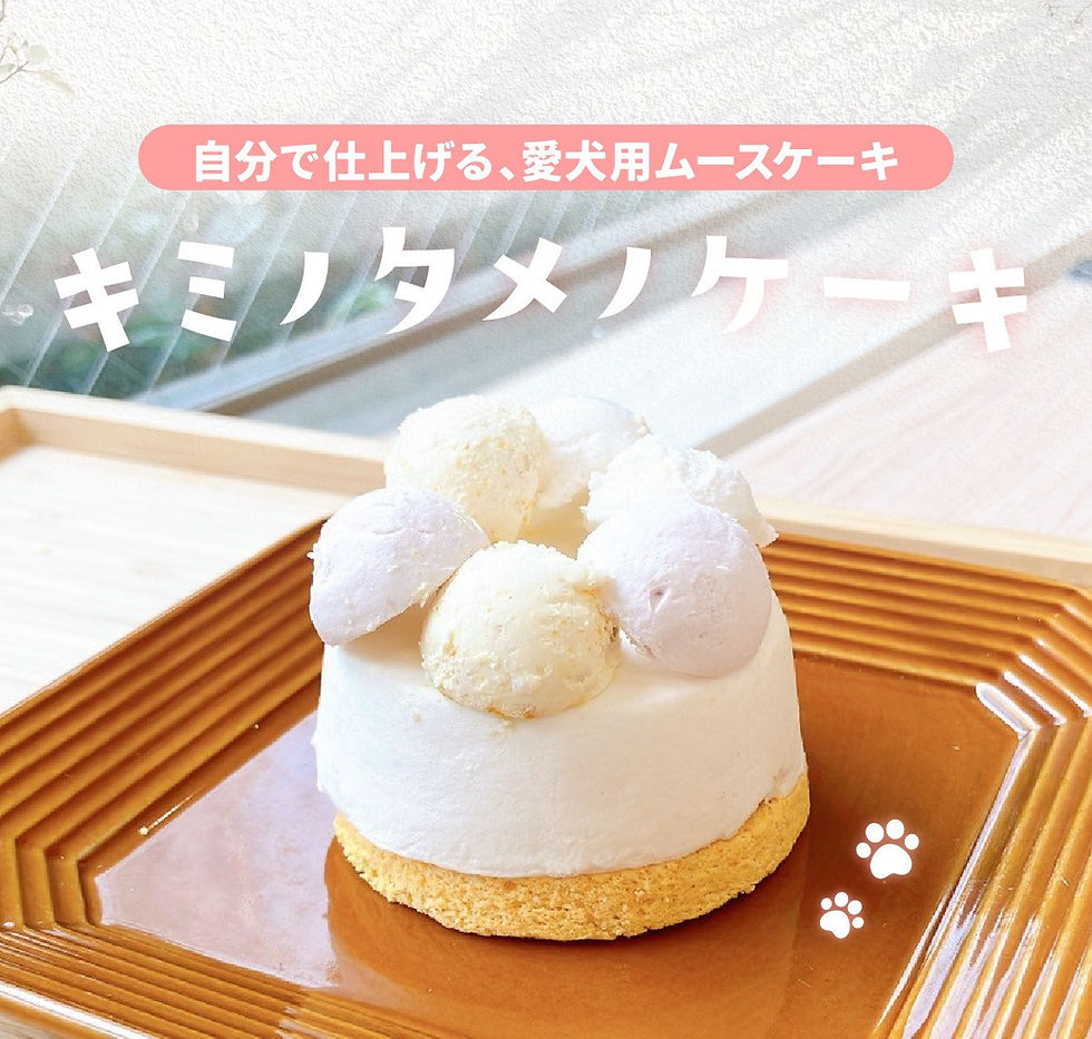 キミノタメノケーキ