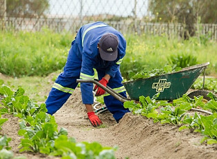 anaya-katlego-792064-unsplash-e156079738