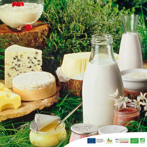 Les produits laitiers et notre santé