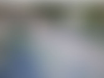 LE PIGEON ARC EN CIEL DE MONCHECOURT
Organise sa vente de pigeon 2025