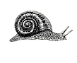 degrowth_uk_logo_edited.png