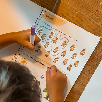 Kind leert groeperen - voorbereidend rekenen.png