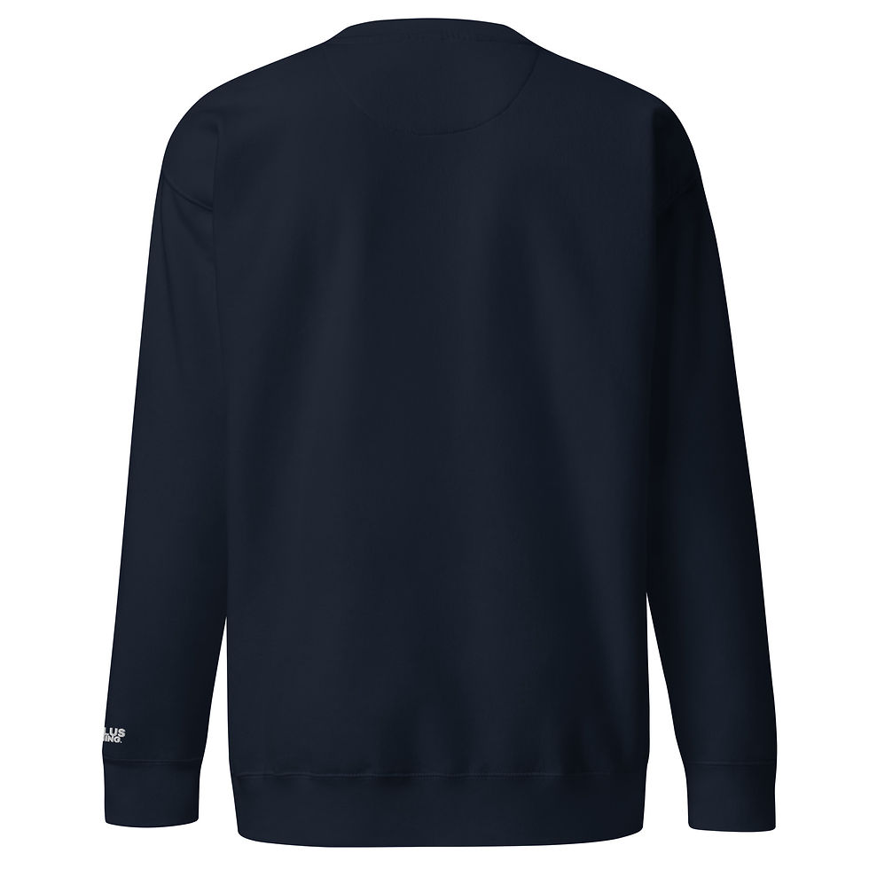 Thumbnail: IRT - Sweatshirt