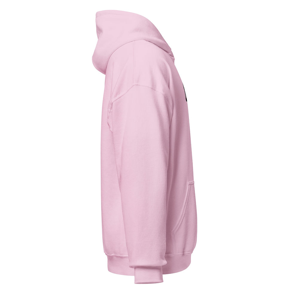 Thumbnail: 10 Controls - Hoodie