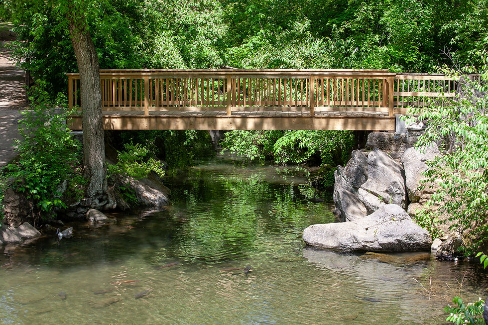 Hagerstown Park Spring: Midday Bloom