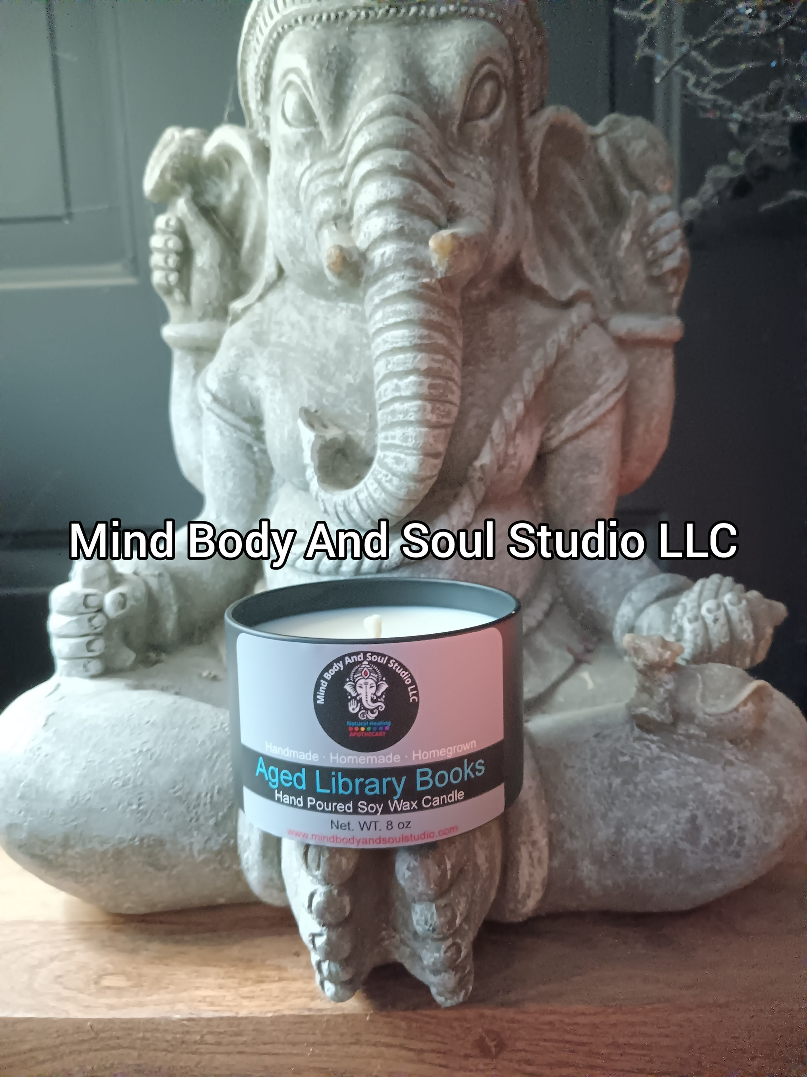 Aged Library Books 100% Soy Candle 