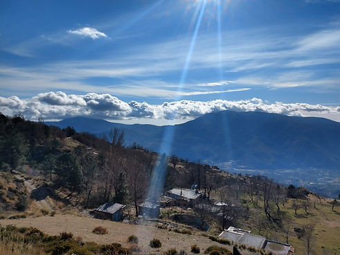IMG_20210105_131319009_HDR.jpg
