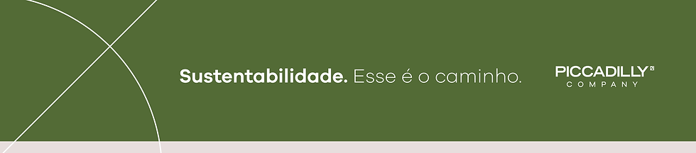 imagem (13).png