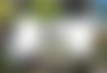 Looking to Relandscape, Check Out Our City Forest