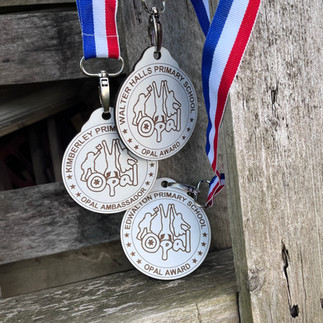 Handcrafted wooden reward medals for pupils demonstrating excellence in OPAL outdoor play settings
