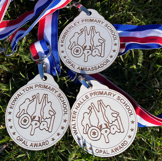 Environmentally friendly alternative to plastic medals for school sports days and OPAL play recognition
