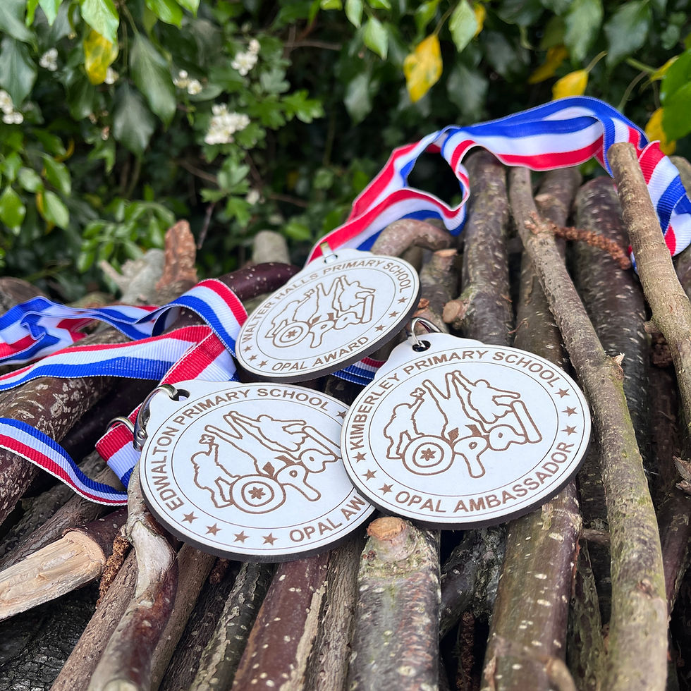 Celebrating the Power of Play: Introducing Our OPAL Laser Engraved Wooden Medals!
