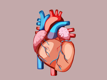 A human heart in the AusTac art style