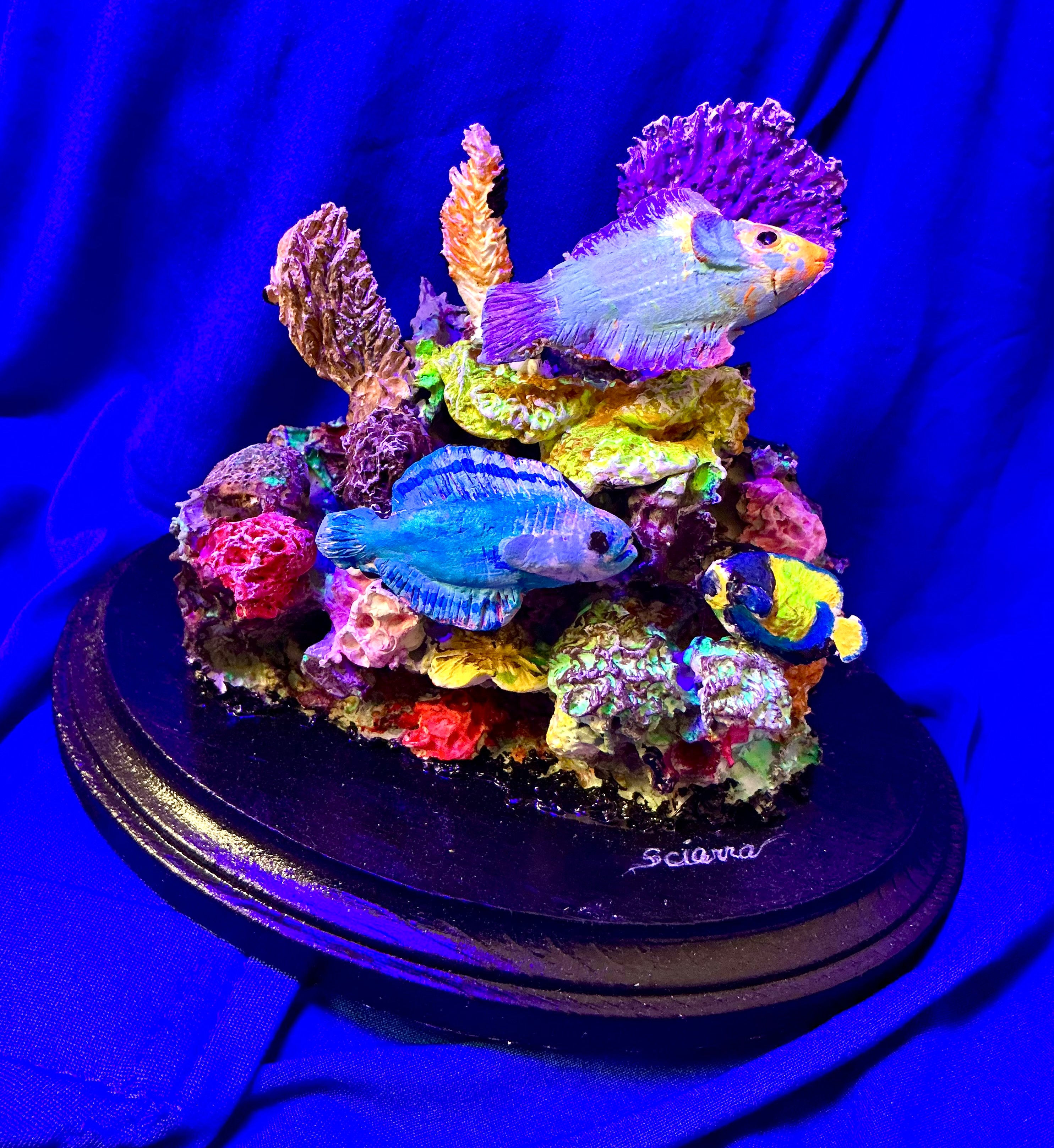 Coral Reef with Fish #0569