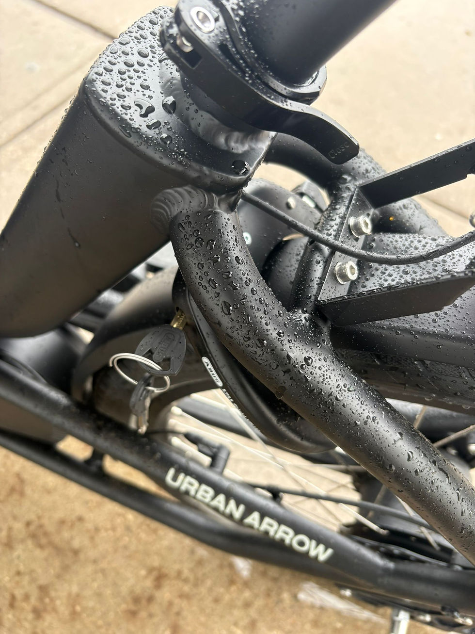The hated Abus wheel lock