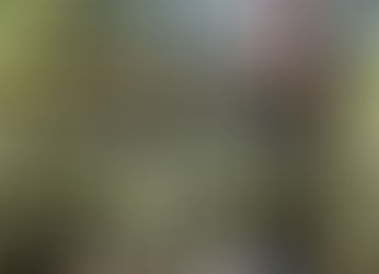 Bay Area Explorations: A Journey Through Nearby Destinations