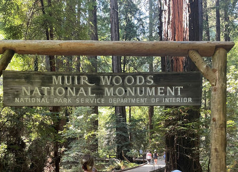 Bay Area Explorations: A Journey Through Nearby Destinations