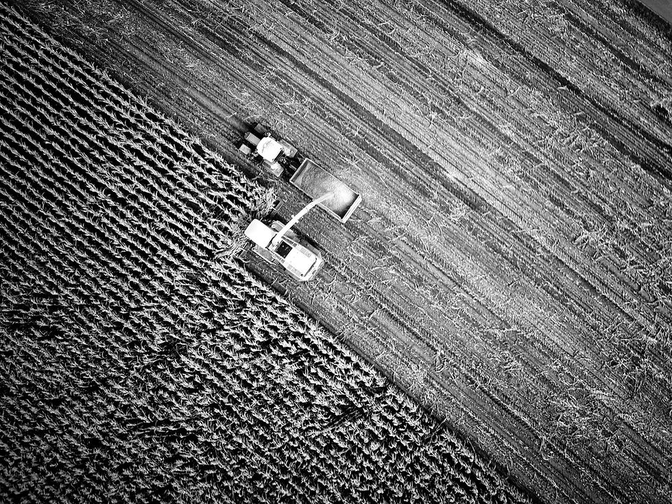 Teren agricol, agricultura, recolta