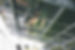 markus-spiske-hnQkh_FGumo-unsplash.jpg