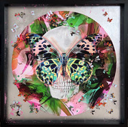 Tunku Khalsom_ Skullfly C8 _ 85x85cm _ hybrid print in box frame