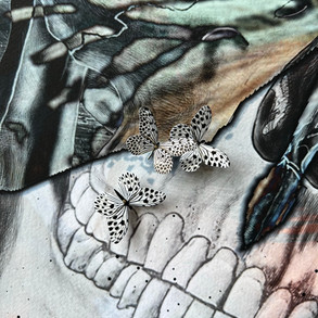 Skullfly detail