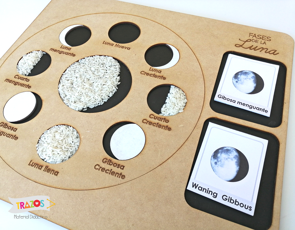 Miniatura: Tablero Fases de la Luna