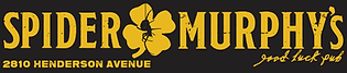 SPIDER LOGO