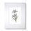 Thumbnail: Flower, Purple