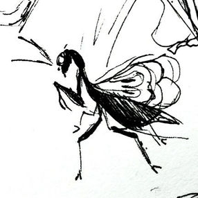 Praying Mantis sketch with wings 