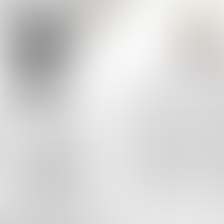 L’olio nuovo - La Madia Travelfood n° 343 - gen-feb-mar 2020 - a cura di Antonietta Mazzeo