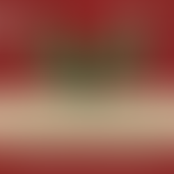 Etiquette & Christimas al Grand Hotel Majestic "già Baglioni"