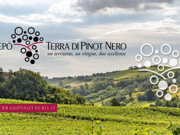 Oltrepò Terra di Pinot Nero: un territorio, un vitigno, due eccellenze