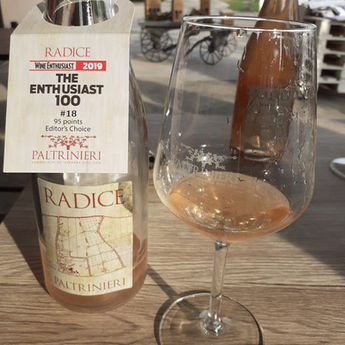 Il RADICE 2018 della Cantina Paltrinieri al 18° posto nella classifica dei 100 Top Wines 2019 per Wi
