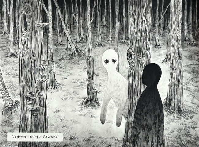 achancemeetinginthewoods.jpg