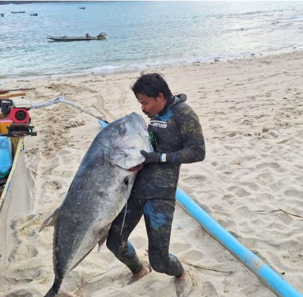 Spear Fishing.jpg