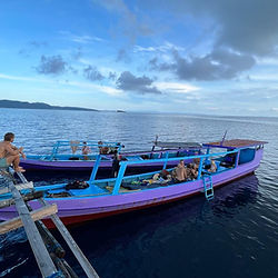 boats