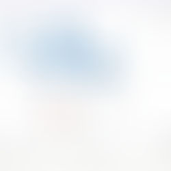 Bali Hospitality Intelligence | Monthly Market Signal