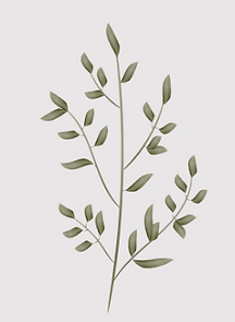 acerbistherapy.com (1).png