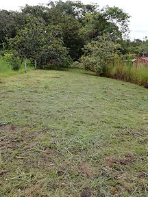 Trinidad, Orotina